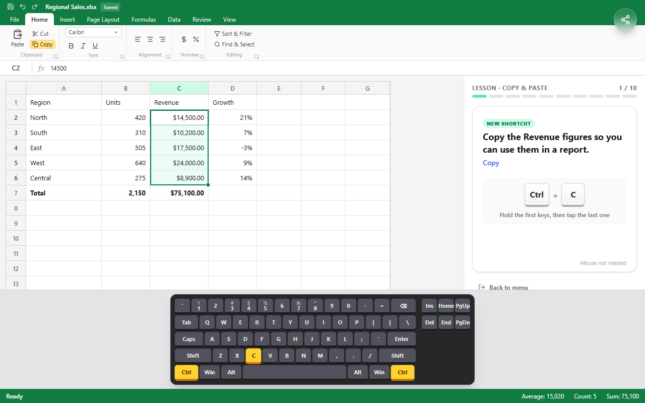 An Excel Ninja lesson: a practice sheet, the task panel, and an on-screen keyboard